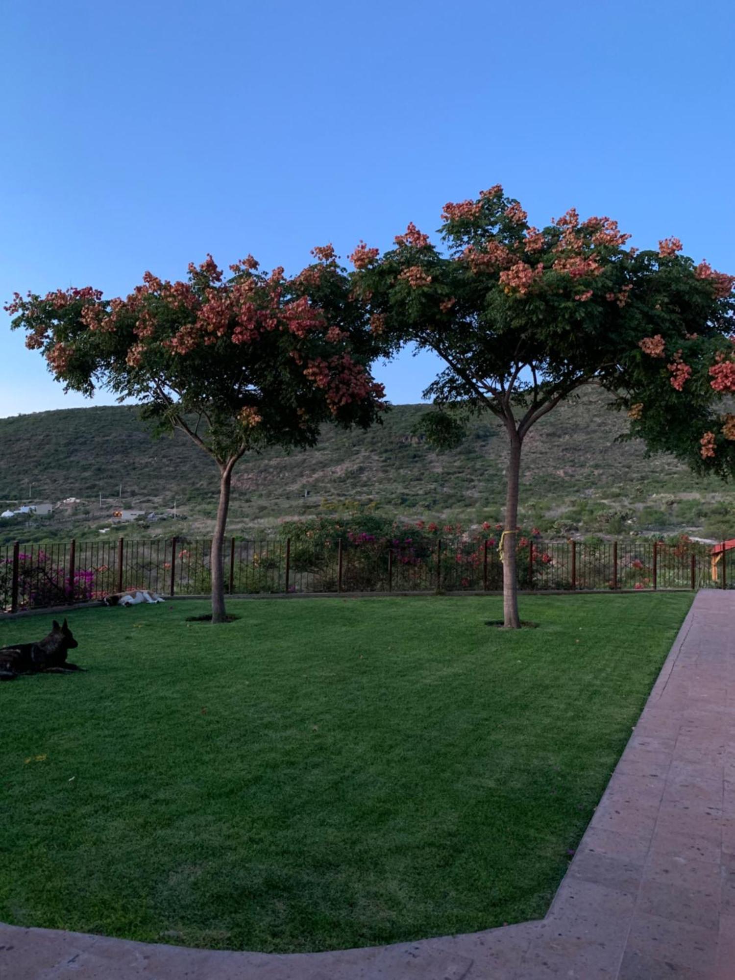 Villa Campestre La Soledad Colon Eksteriør billede