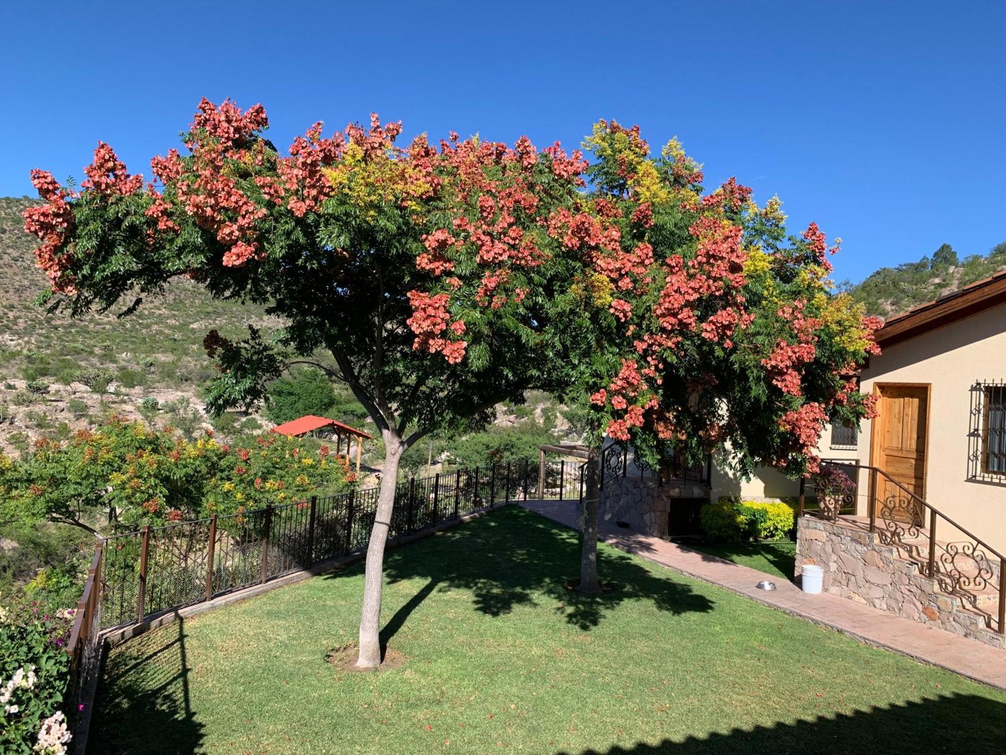 Villa Campestre La Soledad Colon Eksteriør billede