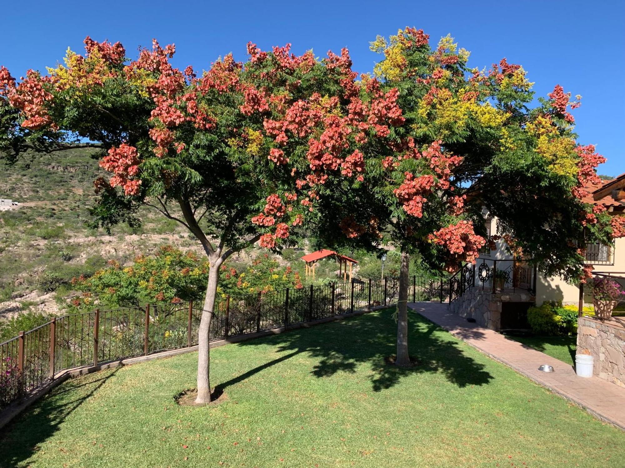 Villa Campestre La Soledad Colon Eksteriør billede