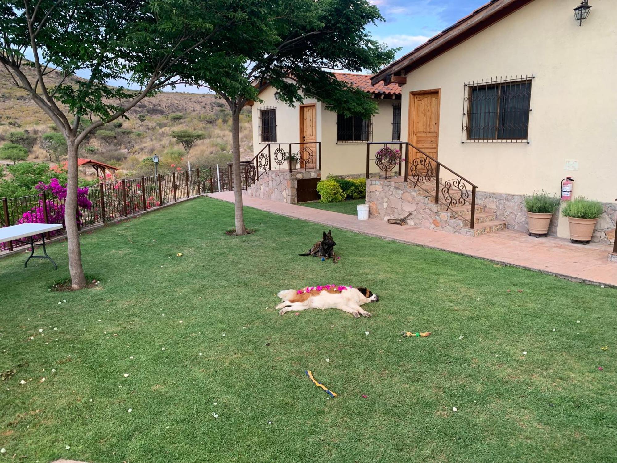 Villa Campestre La Soledad Colon Eksteriør billede